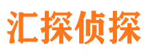 盘龙市调查公司